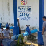 Japay