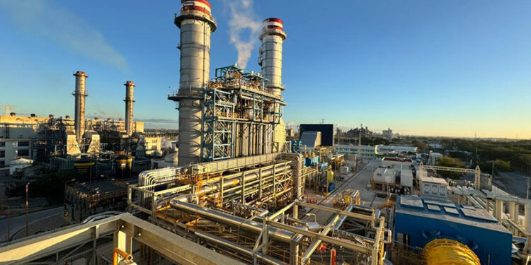 CFE plant