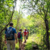 camino